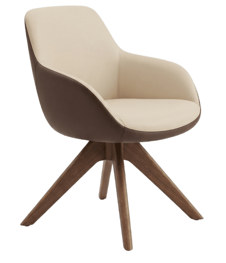 Areil Chair 2